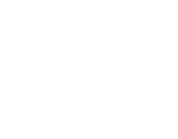 Pluricité